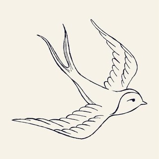 Telegram profile photo for Aussie Bluebird Channel☀️🇦🇺🕊️