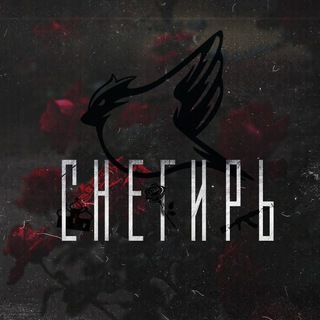 Telegram profile photo for Снегирь из ДНР🇷🇺