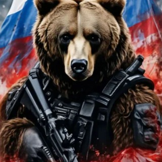 Telegram profile photo for Медведи 🐻 🇷🇺