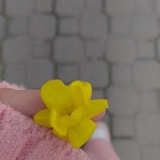 Telegram profile photo for هَمْسـات لَـطيفةة .
