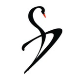 Telegram profile photo for Black Swan Dawn - Analytics