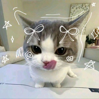 Telegram group profile photo for Группа для общения | знакомств 👻