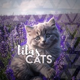 Telegram profile photo for Lilᴀs ᴄᴀᴛs 🪻