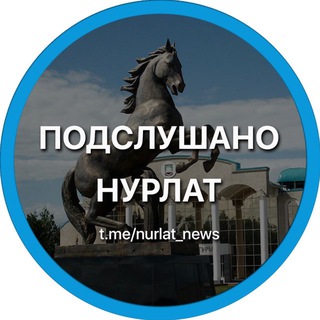 Telegram profile photo for Подслушано Нурлат