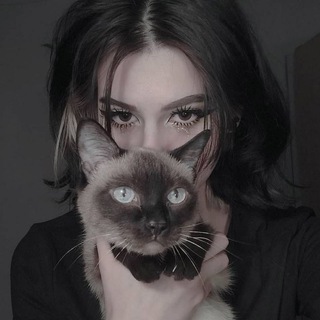 Telegram profile photo for ubezhishe