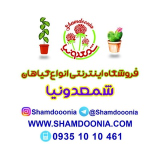 Telegram profile photo for شمعدونیا فروشگاه گیاهان