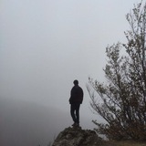 Telegram profile photo for The silent hill