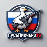 Telegram profile photo for ГусьПикчерз39 -хобби