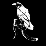 Telegram profile photo for #велогади