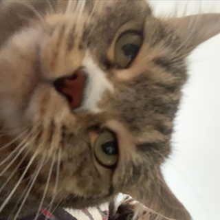 Telegram profile photo for jj