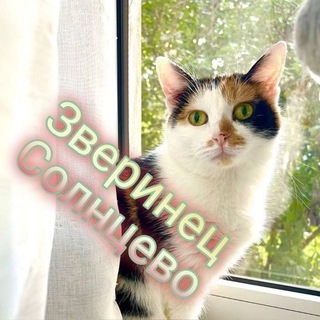 Telegram profile photo for Зверинец Солнцево