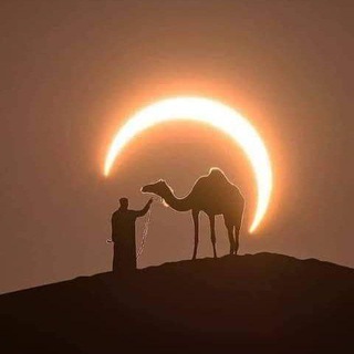Telegram profile photo for Kraftort Sahara