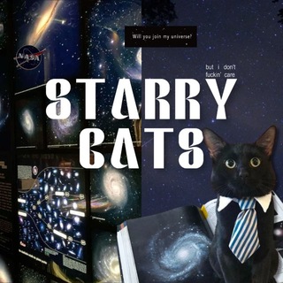 Telegram profile photo for info. Starry Cats