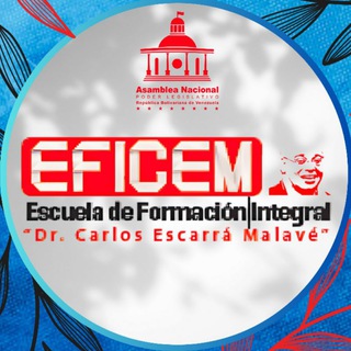 Telegram profile photo for EFICEM_AN