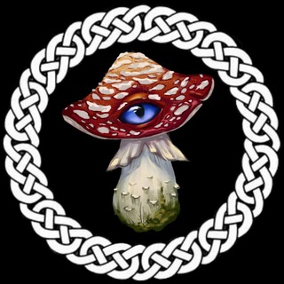 Telegram profile photo for Славяно-арии, объединяемся!