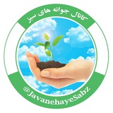 Telegram profile photo for هزینه تبلیغات