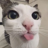 Telegram profile photo for ๐ฒ๐๐พ๐พ๐ ๐ฆ๐บ๐๐ฝ๐พ๐