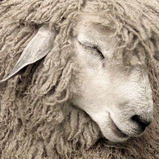 Telegram profile photo for сладкий школьник