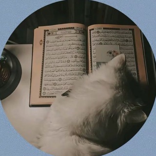 Telegram profile photo for حيثُ الجنة