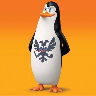 Telegram profile photo for Kovalski , варианты?