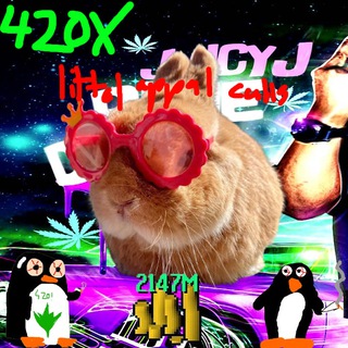 Telegram profile photo for Littal Appal Calls π