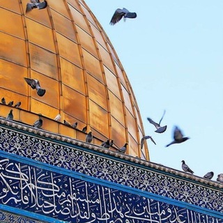 Telegram profile photo for رسائل
