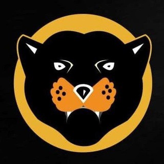 Telegram profile photo for UniRocket WKD