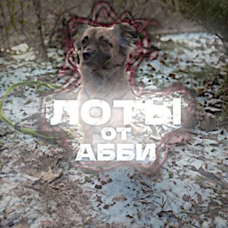 Telegram profile photo for Лоты от Абби🛐