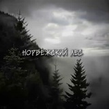 Telegram profile photo for ≪ Норвежский лес ≫рест.