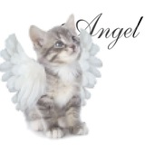 Telegram profile photo for ᯓОмлетяк шепчет ⊹ ࣪ ˖