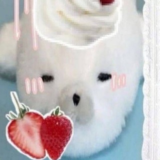 Telegram profile photo for Challenge magma answers... di