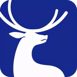 Telegram profile photo for 鹿港 轻奢男装{柬埔寨金边}