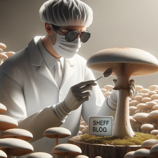Telegram profile photo for Шеф вещает
