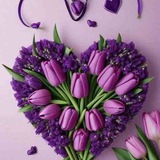 Telegram profile photo for زهرة التوليـ🌷ـب