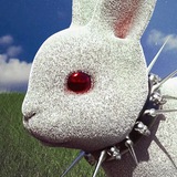 Telegram profile photo for дохихикалась