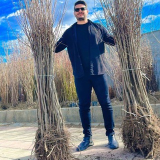 Telegram profile photo for نهال سیب