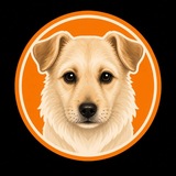 Telegram profile photo for cali_elondog