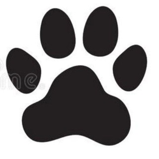 Telegram profile photo for Помогаем животным. Live🐱🐶