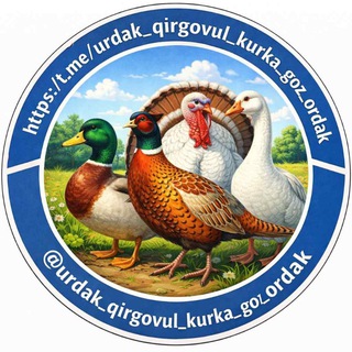 Telegram profile photo for Фазанлар . Товуслар . Sisarkalar . Ўрдаклар . Ғозлар . Куркалар .