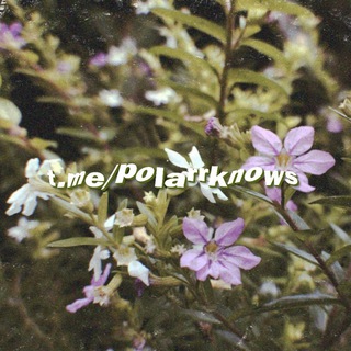 Telegram profile photo for POLARRKNOW'S