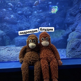 Telegram profile photo for ๐๐ง๐ฏ๐๐๐๐๐ ๐๐ฎ๐๐ ๐