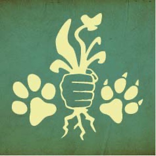 Telegram profile photo for Mission: Gesundheit - Hund & Katz