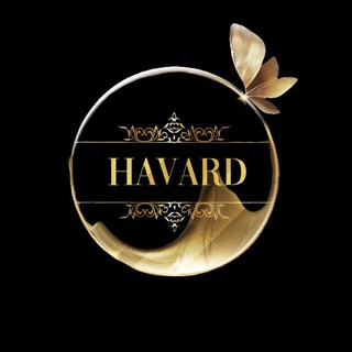 Telegram profile photo for HAVARD SCHOOL
