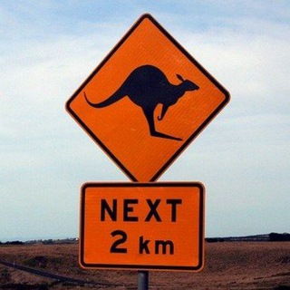 Telegram profile photo for Right Down Under