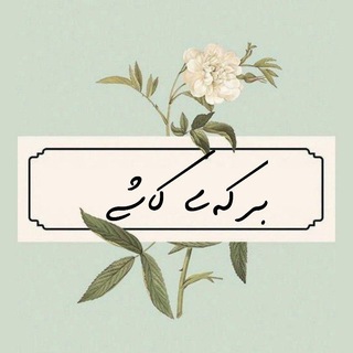Telegram profile photo for برکهی کاشی؛
