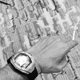 Telegram profile photo for سندباد