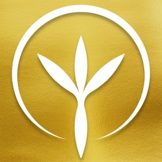 Telegram profile photo for Мій Світ