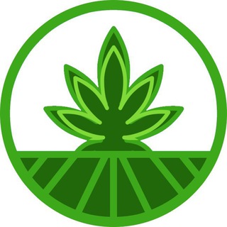 Telegram profile photo for Strains (SFN) Announcements