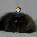 Telegram profile photo for почеркушки картофелч (брялка)