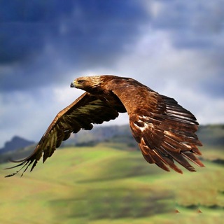 Telegram profile photo for Семейская горница